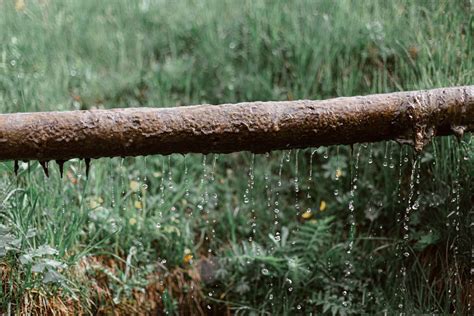 What is Structured Water? Everything You Need to Know - Water Wizardry