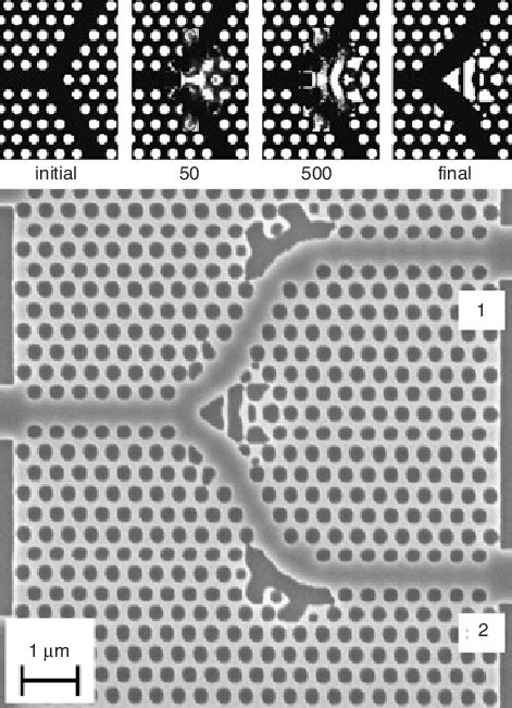 Scanning electron micrograph of fabricated structure containing ... 