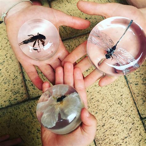 Kylie Howarth How To Cast Insects And Bugs In Resin