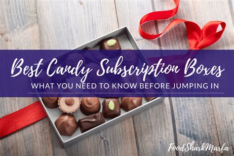 The 13 Best Candy Subscription Boxes For Your Sweet Tooth Food Shark