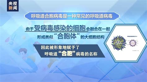 呼吸道疾病高发 呼吸道合胞病毒与支原体感染有何异同？ 中国网