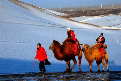 敦煌迎来新年首场降雪图片新闻中国政府网