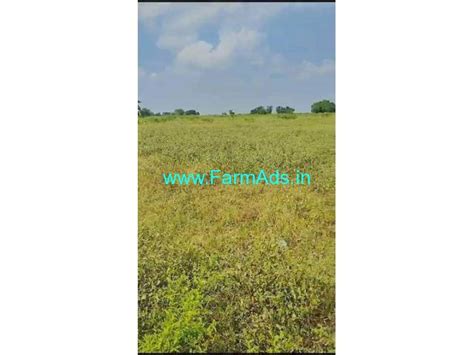 4 Acres Agriculture Land For Sale 12 Km From Thorrur Jangaon FarmAds In