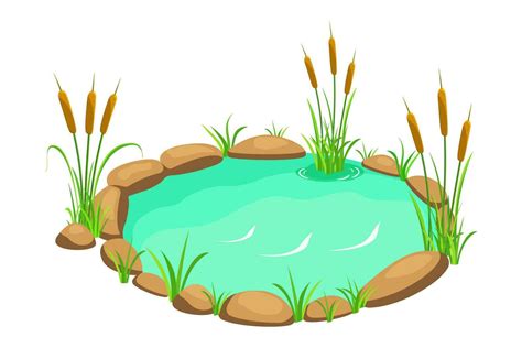 Pond Cartoon Vector Art, Icons, and Graphics for Free Download