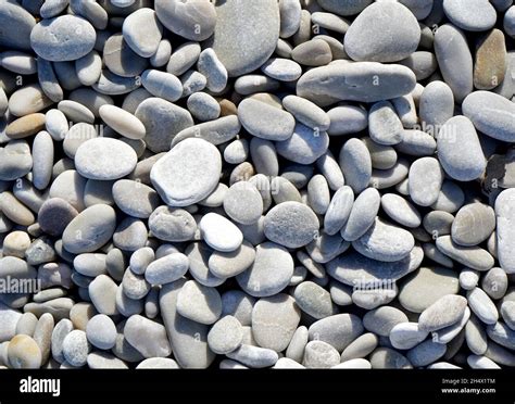 Spiaggia Di Ciottoli Bianchi Immagini E Fotografie Stock Ad Alta