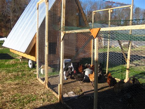 Key Considerations For Starting A Small Poultry Farm To Raise Healthy