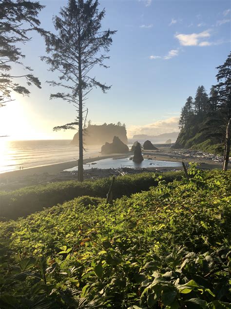 Sunset In Olympic National Park Forks Wa Oc X R Earthporn