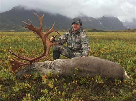 Guided Hunts Alaska Caribou