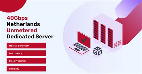 Prahost Launches Brand New Unmetered Dedicated Server Prahost Blog