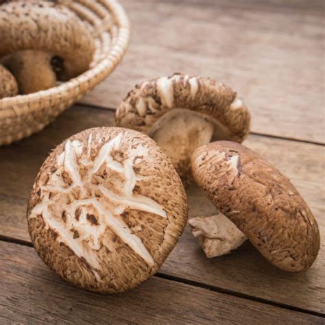 Best Shiitake Mushroom Substitutes For Cooking Tastylicious