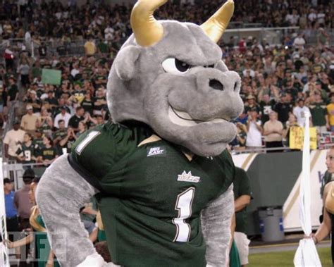 Mascot Monday Rocky The Bull Kc College Gameday