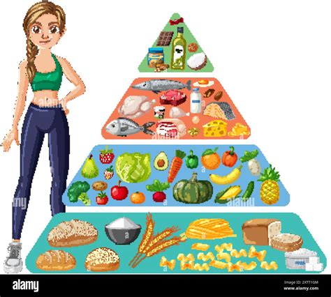 Illustration Of Food Pyramid With Various Food Groups Stock Vector