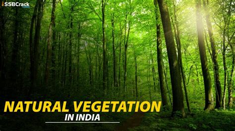 Natural Vegetation Of India: Geography Notes For All Defence Exams