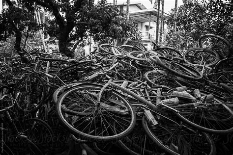 Bicycle Junk Yard By Stocksy Contributor Paul Ratje Stocksy