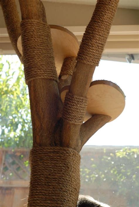 She Transforms A Tree Into A Classy Cat Playground Cat Playground