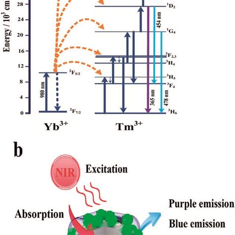 Schematic Diagrams Of Energy Level Transition Of Yb³⁺ And Tm³⁺ Ions In