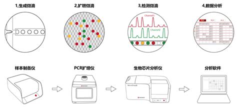 Kras基因突变检测试剂盒数字pcr法）