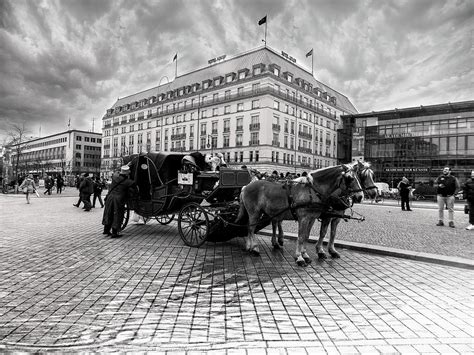 Horses at Brandenburg gate Photograph by Cuiava Laurentiu | Fine Art ...