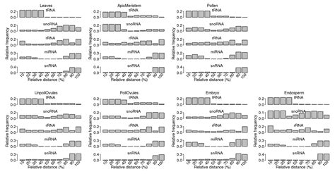 Ncrna Free Full Text Computational Characterization Of Ncrna