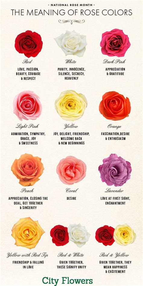 Roses Guide Roses Meaning Visual Ly Rose Color Meanings Flower