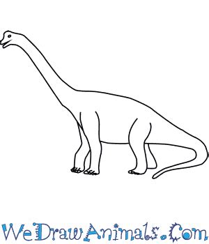 How to Draw a Brachiosaurus