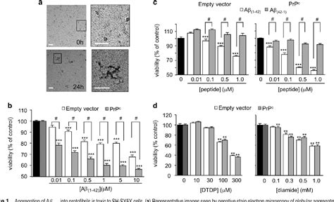 Figure From Heme Oxygenase Protects Against Alzheimer S Amyloid