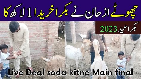 Live Deal Soda Kitne Main Final Kitne Ka Liya Desi Bakre BAKRA