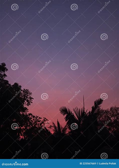 Pink and orange sunset stock image. Image of shadow - 225567669