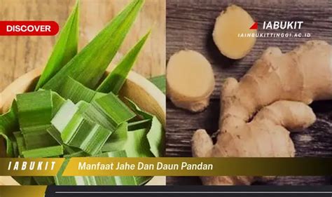 Ketahui Manfaat Jahe Dan Daun Pandan Yang Jarang Diketahui