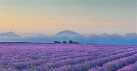 Your 2025 guide to Provence wine region | Winetourism.com