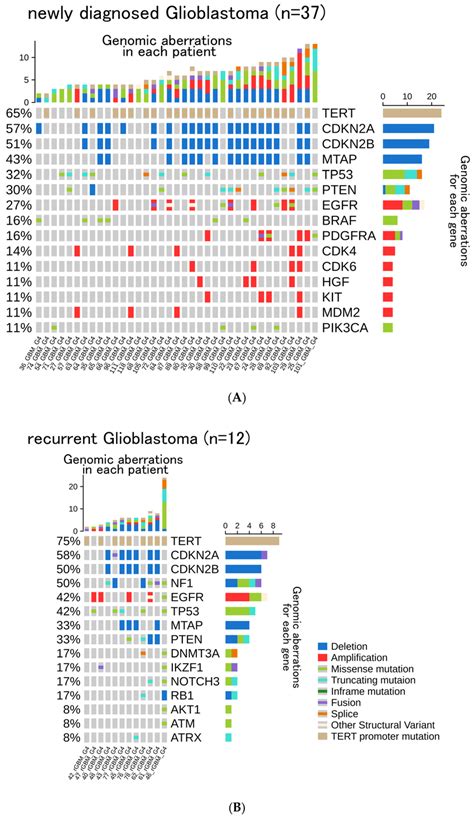 Oncoprint Of A 37 Patients With Newly Diagnosed IDH Wt GBM And B