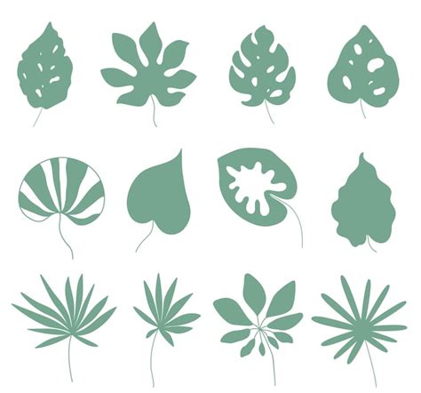 Premium Vector Tropical Leaves Silhouette