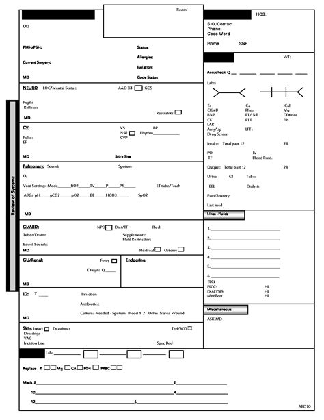 Nurse Brain Sheet Icu