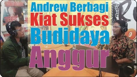 Andrew Berbagi Kiat Sukses Budidaya Anggur YouTube