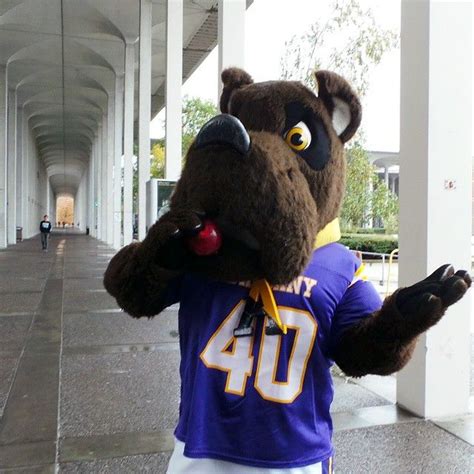 Our mascot Damien the Great Dane and the #UAlbany community took a collective bite of an #apple ...