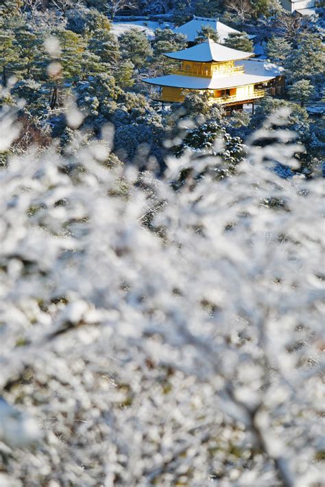 金閣寺の雪景色 京都フリー写真素材集：京都の神社・寺院・観光地・世界遺産の無料写真