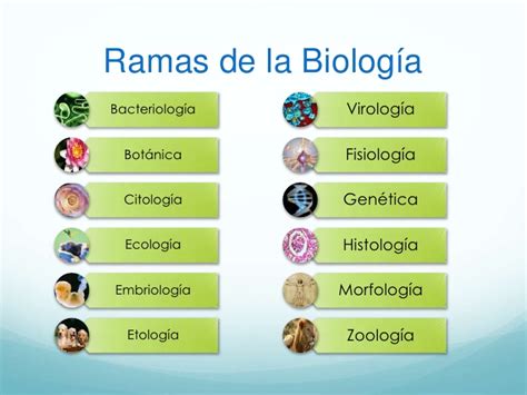 Las Babys Brillantes Las Ciencias Naturales En Tus Manos Damaris M Ndez