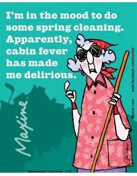 Pin By Mary Mills On Spring Cleaning Maxine Spring Cleaning Funny Funny