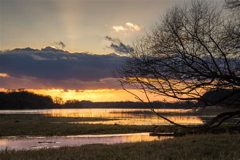 Kostenlose Foto Landschaft Meer Baum Wasser Natur Horizont