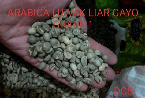 Jual KOPI ARABIKA LUWAK LIAR GAYO GRADE 1 GREEN BEAN 1 KG Di Lapak