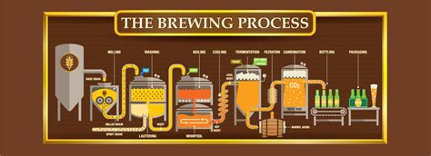 Beer Basics Beer Decoded
