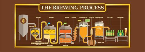 Beer Basics - Beer Decoded