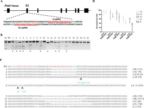 Guide Rna Sgrna Thermo Fisher Bioz