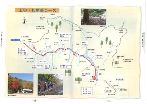 芦生の森ハイキング京都大学特別研究保護林、入山許可制 サンサン山倶楽部 山旅日記