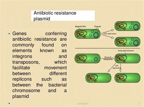 Plasmid And Antibiotic Resistance