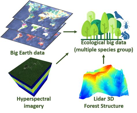 Biodiversity Research Qiu Lab At Penn State