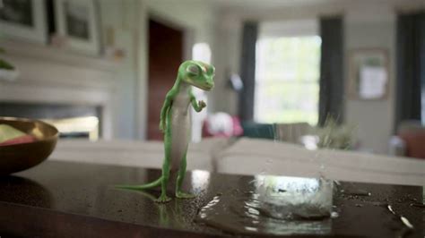 Geico Tv Commercial The Gecko Finds A Pool Party Ispottv