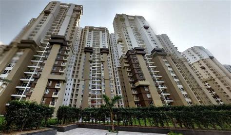 Bhk Apartment Sq Ft For Rent In Sector Noida Rei