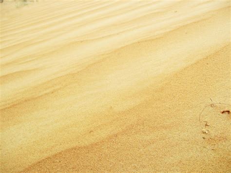 Premium Photo Desert With Warm Colors Sand Dunes