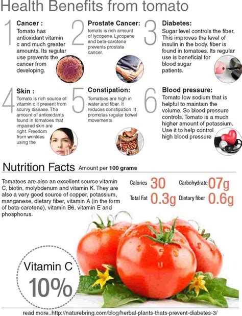 Benefits Of Tomatoes Tomato Nutrition Facts Garden Infograph